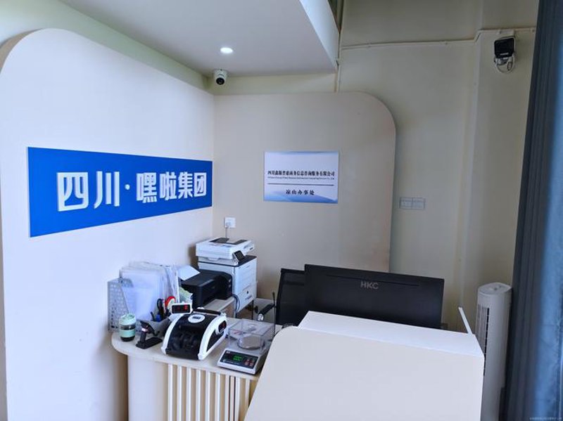 IT规划：企业未来的蓝图